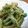 ちゃぶにゃにゅー's cooksnap of when they made おばあちゃんの胡麻和え.