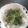 かぴーな's cooksnap of when they made 山芋のポテト.