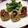 ちぇりー７０１'s cooksnap of when they made ささみの紫蘇トマトチーズ巻き☆.