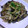 のぼる１０３１'s cooksnap of when they made ♪キャベツときのこの蒸しいため♪.