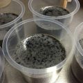 りさるママ's cooksnap of when they made 簡単！黒ごまプリン.