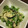 イロピリン's cooksnap of when they made きゅうりとなすの漬物風マヨネーズサラダ.