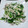 ビギナーもんちゃん's cooksnap of when they made 新玉ねぎと煮イカのマヨネーズ和え.