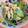けんころざうるす's cooksnap of when they made 鶏ささみと胡瓜のマスタード和え.