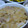 天野優花's cooksnap of when they made 鶏手羽先の新玉蒸し.