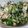bonkure800's cooksnap of when they made ほうれん草と乾物の豆腐白和え.