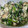 bonkure800's cooksnap of when they made ほうれん草と乾物の豆腐白和え.