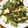 sofy0324's cooksnap of when they made うちの簡単にらタマ♪.