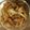 teriyakime's cooksnap of when they made 生姜好きのためのガッツリ！生姜焼き。.