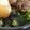 めかにか's cooksnap of when they made いんげんのごま味噌和え.