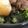 めかにか's cooksnap of when they made ネバ旨い!オクラの味噌ごま和え.