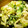jenis's cooksnap of when they made ちんげんさい と くるみ の ごまあえ.