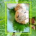 ＭＡＹＯＭＡＹＯ　's cooksnap of when they made なんちゃって和菓子～アジサイおにぎり～.