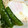 あんずっっこ's cooksnap of when they made えんどうの半熟卵とじ.