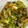 chicao's cooksnap of when they made 厚揚げの五目ｵｲｽﾀｰｿｰｽ炒め.