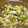 mon69's cooksnap of when they made **絹さやとじゃがいものツナマヨ和え**.