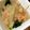 hirox5's cooksnap of when they made 小松菜とえのきのエビあんかけ.