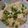 ♪sunny♪'s cooksnap of when they made えんどう豆高野豆腐の卵とじ.