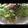 りょっつ's cooksnap of when they made サラダうどん.