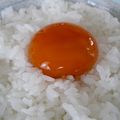 そうかぁ's cooksnap of when they made 卵黄のダシ醤油漬け.