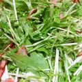 ゆいったろ's cooksnap of when they made ♡水菜とベーコンのぅまうまサラダ♡.