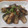 seyumama's cooksnap of when they made ひとくち鯖の梅竜田♪.