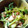audreymaki's cooksnap of when they made ＊梅が効いてる＊ほうれん草のおひたし.
