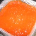 はるはっる's cooksnap of when they made フレッシュトマトで作る万能トマトソース.