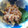 りとるちゃいるど's cooksnap of when they made 味噌控えめなアジのなめろう風.