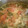 sinomori's cooksnap of when they made トマトとたまごのスープ.