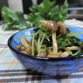ぽっぽぺぺ's cooksnap of when they made 豆苗と椎茸の生姜醤油和え.