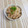 ひぃこ＊'s cooksnap of when they made えのきの明太子和え.