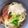 なおすけ151a's cooksnap of when they made ウチのパパッとぶっかけうどん.
