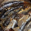 あれれっ's cooksnap of when they made 【男飯】イワシの旨辛醤油煮.