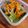 よるおそ's cooksnap of when they made ≪給食≫小松菜と人参の磯和え.
