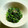 Bsnow's cooksnap of when they made しらすと三つ葉の和えもの.