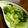 シロノワール's cooksnap of when they made ちんげんさいでゴマのおひたし★.