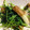 yskwchie's cooksnap of when they made 豆苗とちくわのダシダ炒め.