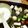 ひなひびももしょう's cooksnap of when they made チーズフォンデュonプレート＊°.