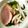 はるぽん†'s cooksnap of when they made ニラもやし炒め.