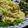 唄ってララバイ's cooksnap of when they made ●おさつベーコンサラダ●.