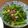 まゆむらさき's cooksnap of when they made 小松菜と納豆のニンニク炒め.