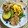 アグネタ112's cooksnap of when they made ズッキーニと豚小間肉と新玉ねぎの炒め物.