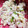 みれれーん's cooksnap of when they made ♡ハムと長芋と野菜の和風ポテトサラダ♡.