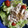 アリスの絵本's cooksnap of when they made ＊豚しゃぶの冷やし中華＊.