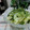 ぽっぽぺぺ's cooksnap of when they made 簡単、さっぱり漬物.