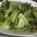 やさしい人's cooksnap of when they made ☆おつまみレタス☆.