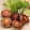 なちきっちゃん's cooksnap of when they made れんこんのはさみ焼き.
