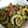 kotton306's cooksnap of when they made 焼肉のたれで作るゴーヤの肉佃煮.