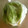mikity7241's cooksnap of when they made 簡単！ほぼ真空で野菜を新鮮保存！！.